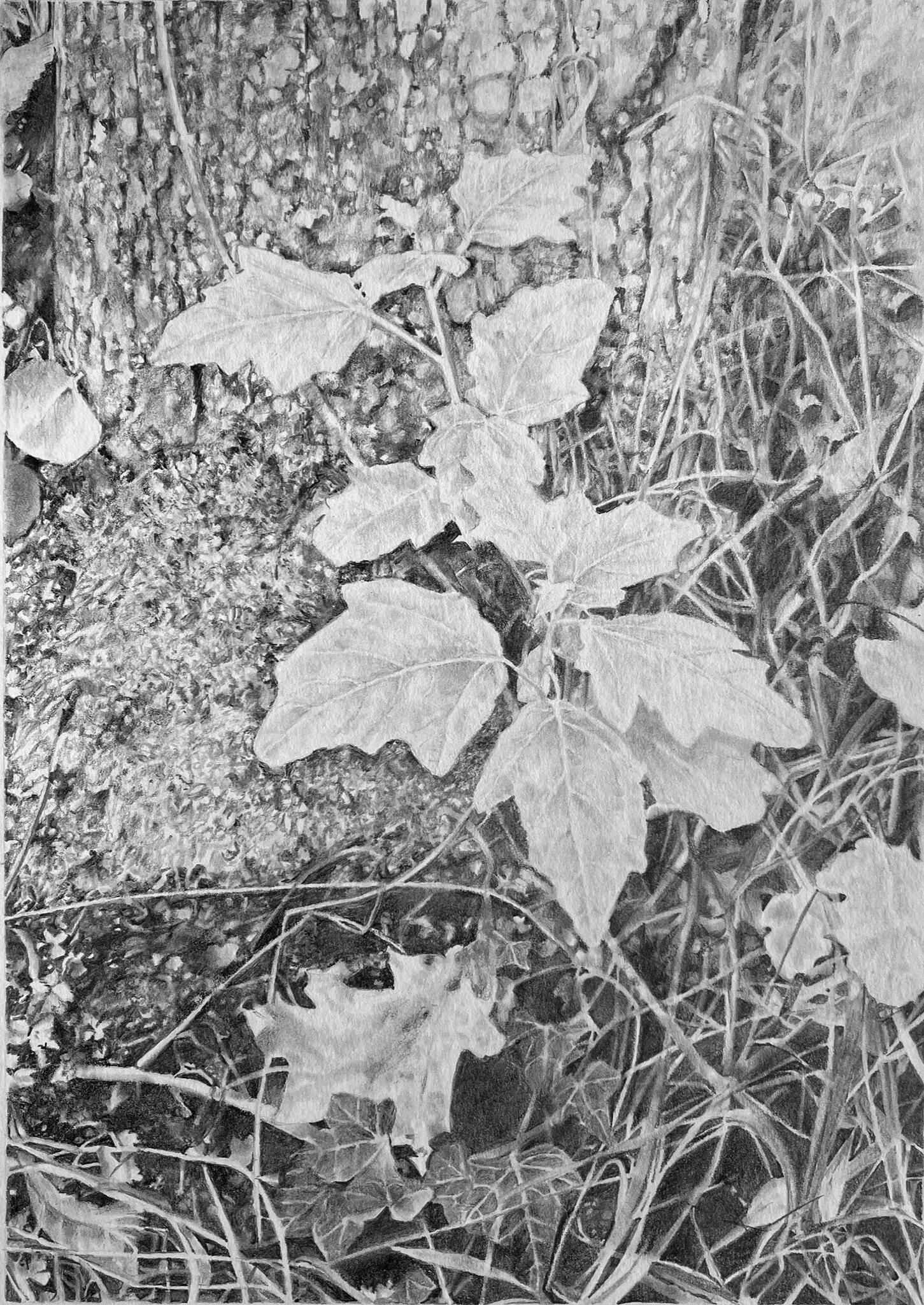 Untitled Untitled